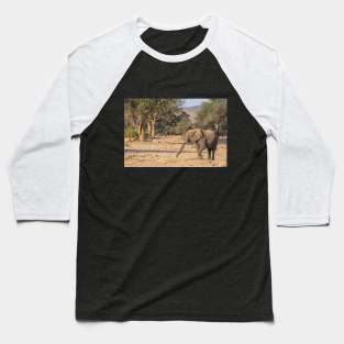 Namibia. Bushland. Elephant. Baseball T-Shirt